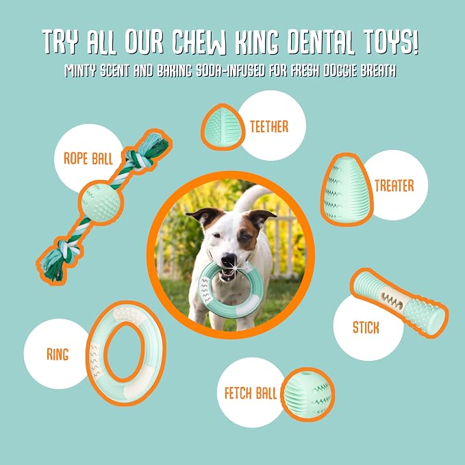 Chew King by Mammoth Dental Dog Toy Collection, Fetch Ball Clinically Proven to Remove Plaque, 2.5" Dental Ball (Pack of 2)