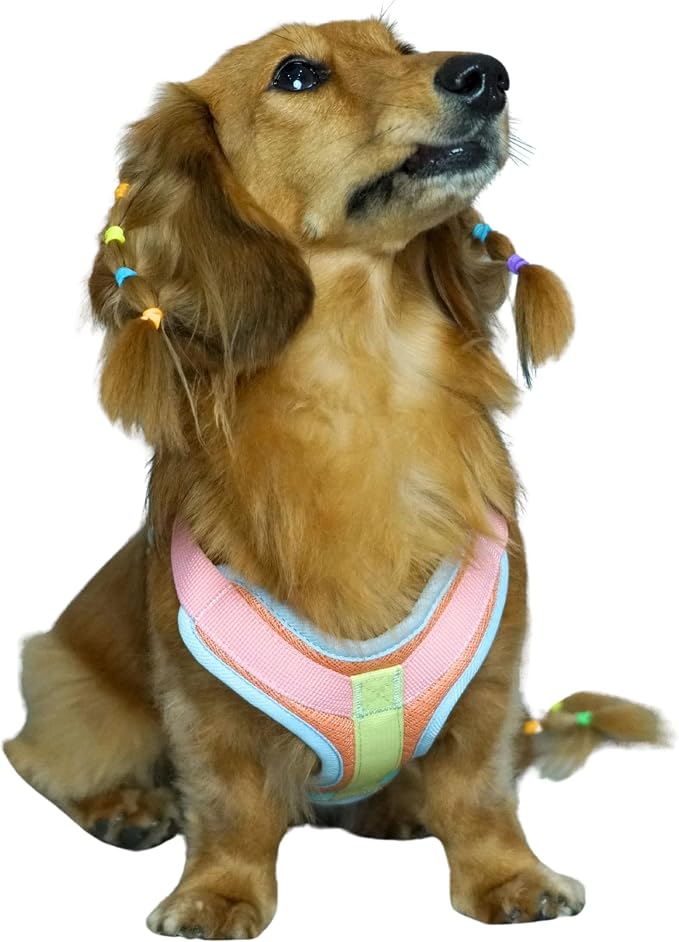 Blueberry Pet Vibrant Mesh Padded Ultra Cool Lightweight Dog Harness Vest in Coral, Large, Neck 21", Chest 24¾"~30¼"