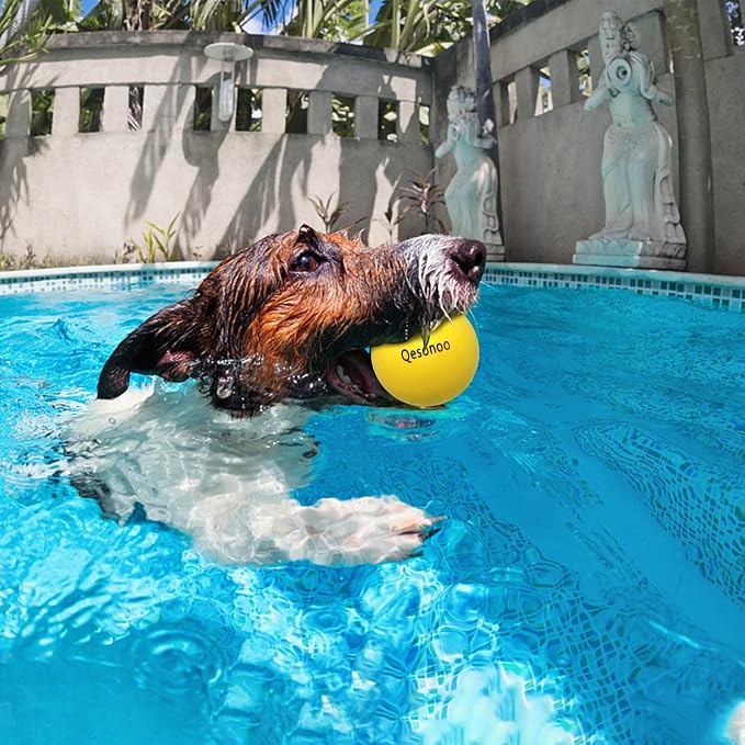 Dog Balls Indestructible, Solid Rubber Bouncy, Large Breed, Yellow