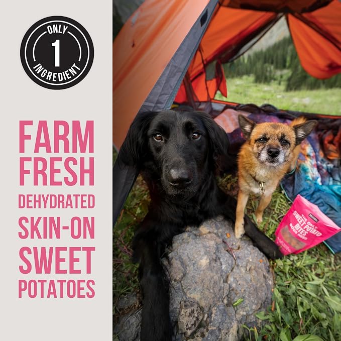 Natural Rapport Sweet Potato Bites, Single Ingredient, Grain-Free, 8 oz