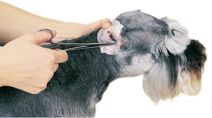 Guardian Gear Top Performance ProEar Professional Ear Powder
