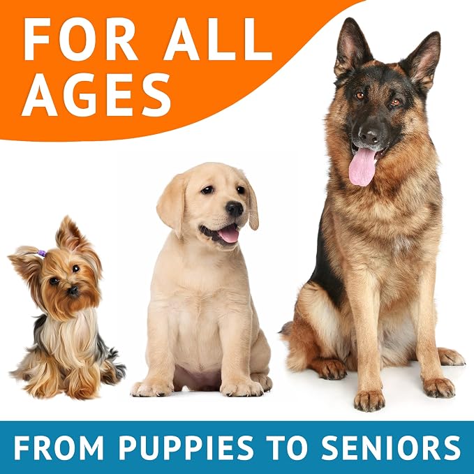 Omega 3 Fish Oil for Dogs - Skin & Coat Support, Itch & Allergy Relief