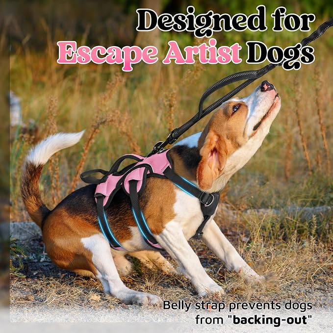 rabbitgoo Escape Proof Dog Harness for Small, No Pull with Lift Handle | No Escape, Full Soft Padded, Reflective Adjustable Vest, Leash Clip for Walking Hiking Training, Pink, Small