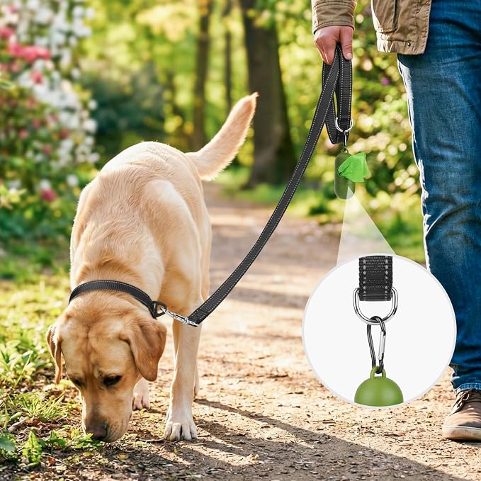 Joytale Reflective Dog Leash for Small Dogs, 6 FT x 3/4", Black | Heavy Duty Nylon Webbing, Padded Handle for Comfort, Visible at Night, for Walking & Training