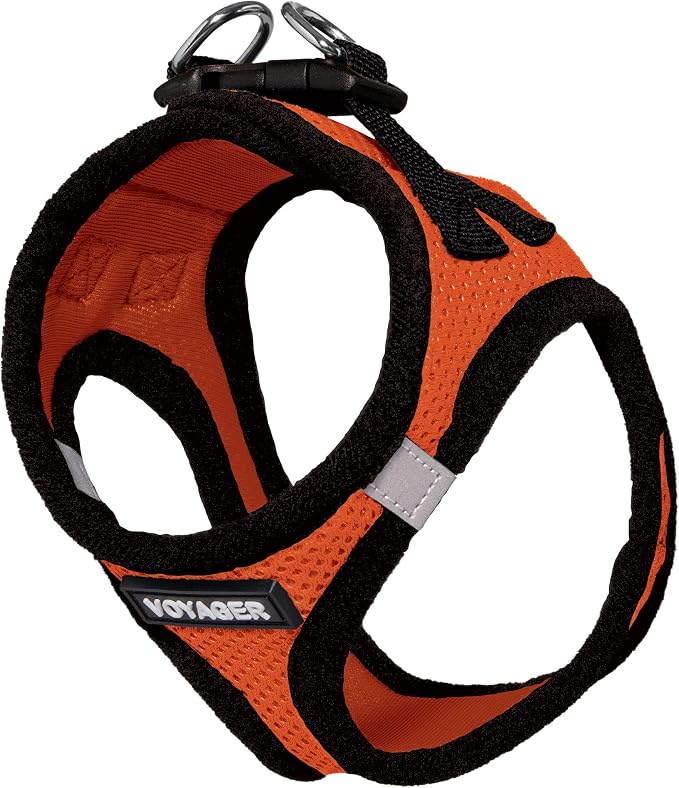 Best Pet Supplies Voyager Step-in Air Dog Harness - All Weather Mesh Step in Vest Harness for Small and Medium Dogs by - Orange Base, XXXS