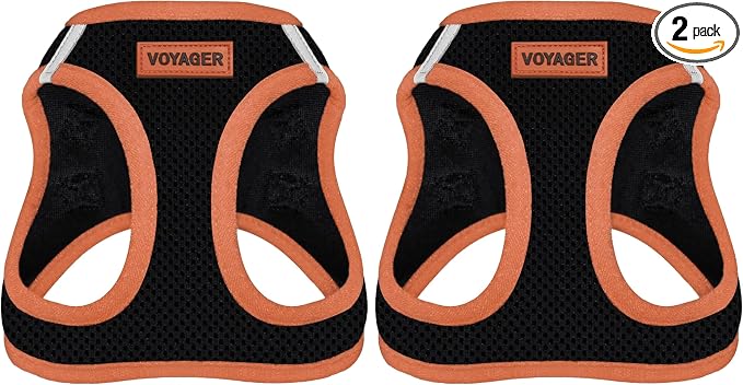 Voyager Step-in Air Dog Harness - All Weather Mesh Step in Vest Harness for Small and Medium Dogs by Best Pet Supplies - Orange Trim, M (Pack of 2)