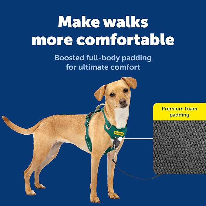 PetSafe Easy Walk Comfort No Pull Dog Harness, Green, Extra Small | Stops Pulling on First Use with Front Martingale Loop, Full-Body Padding, 5-Point Adjustable Fit
