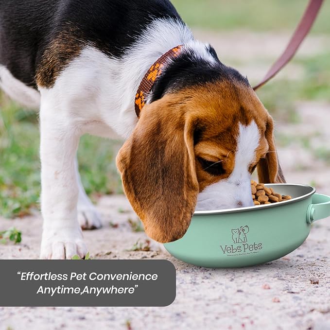 Vebs Pets Stainless Steel Dog Bowl with Collapsible Lid, Jade