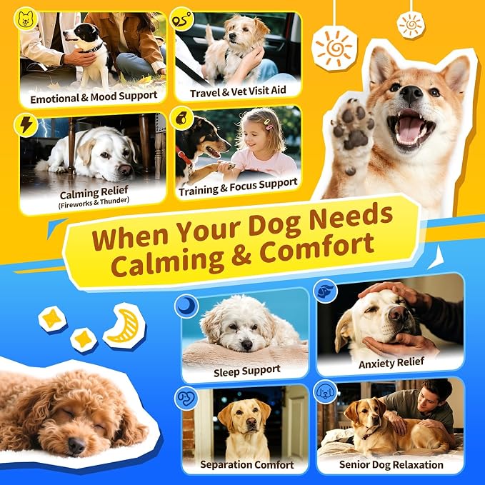 Calming Melatonin Drops for Dogs