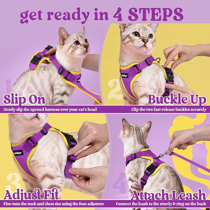 rabbitgoo Cat Harness and Leash Set, Escape Proof Vest, Purple & Yellow | Soft Breathable Mesh, Easy Adjustable Fit, Snap Buckles, Sturdy Clip, Reflective Strips, for Kittens & Small Cats Walks, Xxs