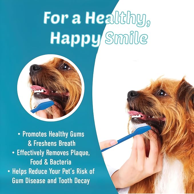 Bexter Dog Toothbrush Set of 10 – Dual Headed Soft Bristle Pet Tooth Brushes for Dental Hygiene, Teeth Cleaning for Small to Large Dogs, Cats & Most Pets, Bulk Pack