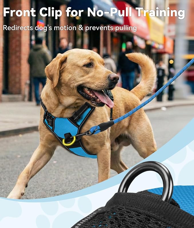Joytale No Pull Dog Harness for Small Dogs, Front Clip, Sky Blue | Grab Handle for Instant Control, Padded & Adjustable Vest, Sturdy Metal D-Rings, for Safe Training & Daily Walking