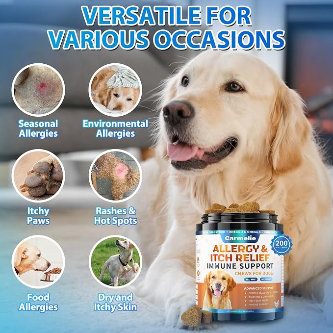 Dog Allergy Relief + Carmelie Probiotics for Dogs – 400 Soft Chews, Itchy Skin & Paw Licking Relief, Digestive Health, Immune Support, Seasonal Allergies, Chicken Flavor