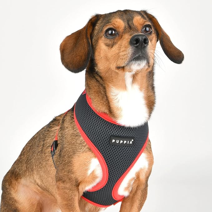 Puppia Soft Dog Harness II Mesh Over-the-Head All Season No Pull No Choke Walking Training Adjustable for Small & Medium Dog - Grey - XL