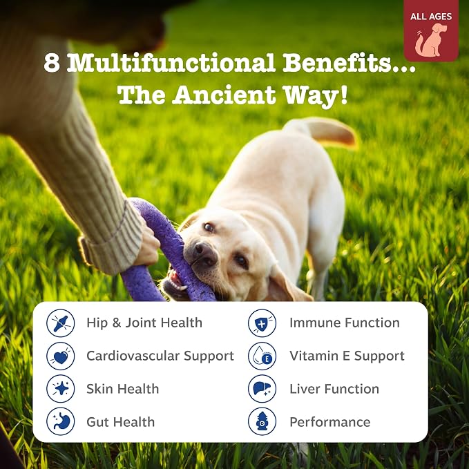 Zesty Paws Dog Multivitamin, Chewable Dog Vitamins and Supplements for Hip & Joints, Skin & Coat, Omega 3 Fish Oil for Dogs- Senior & Puppy Multivitamin - Bison- 90ct (Pack of 2)