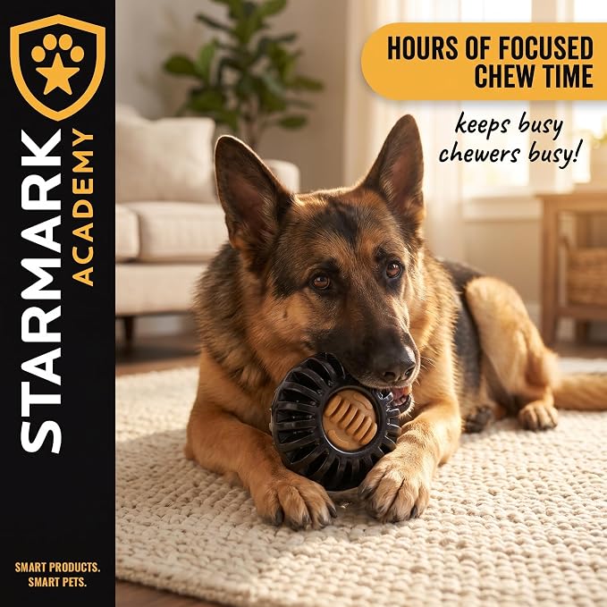 Starmark Everlasting Treat Wheeler Dog Toy Large