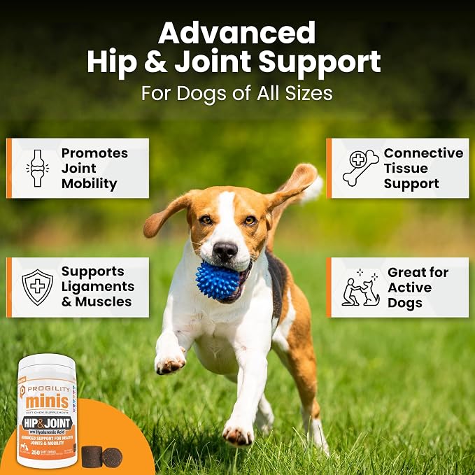 Progility Hip & Joint Glucosamine Supplement for Dogs, Hyaluronic Acid