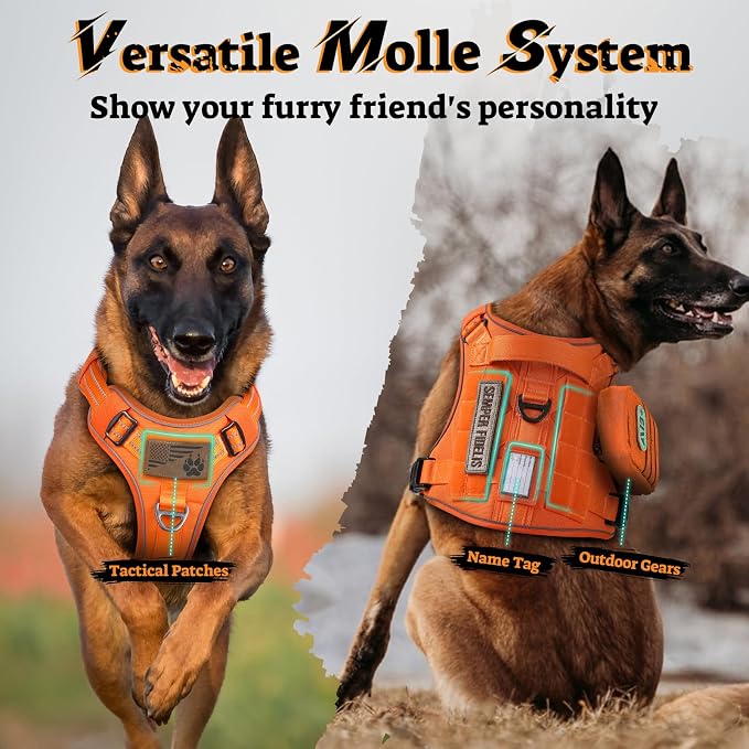 rabbitgoo Tactical Dog Harness Medium Sized, No Pull Service Pet Vest | Military Molle System & Easy Control Handle, Adjustable and Reflective for Walking and Training, Orange, Medium