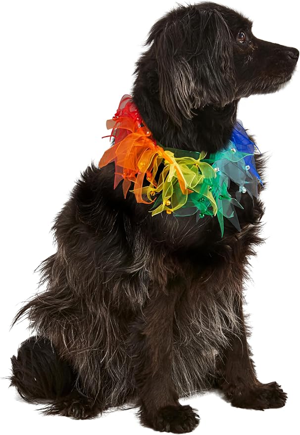 Rubies Decorative Rainbow Pet Collar for Dogs or Cats, Small/Medium