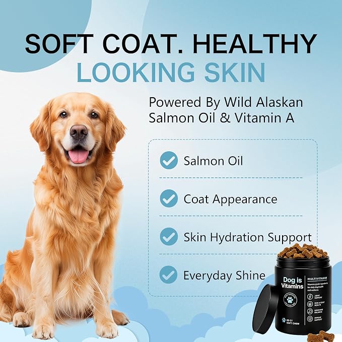 Dog is Multivitamin Chews with Salmon Oil & Chondroitin, 60 Chews (1pc)