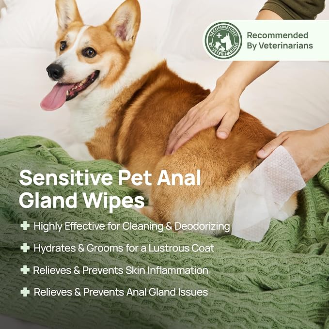 HICC PET Grooming Wipes for Dogs & Cats, Anal Gland & Allergy Care