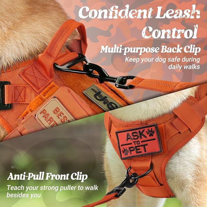 rabbitgoo Tactical Dog Harness for Large, Heavy Duty Military No Pull Vest | Sturdy Metal Buckles, 5 Adjustments, Molle System, Powerful Pullers for Training, Hunting, Outdoor, Orange, Large