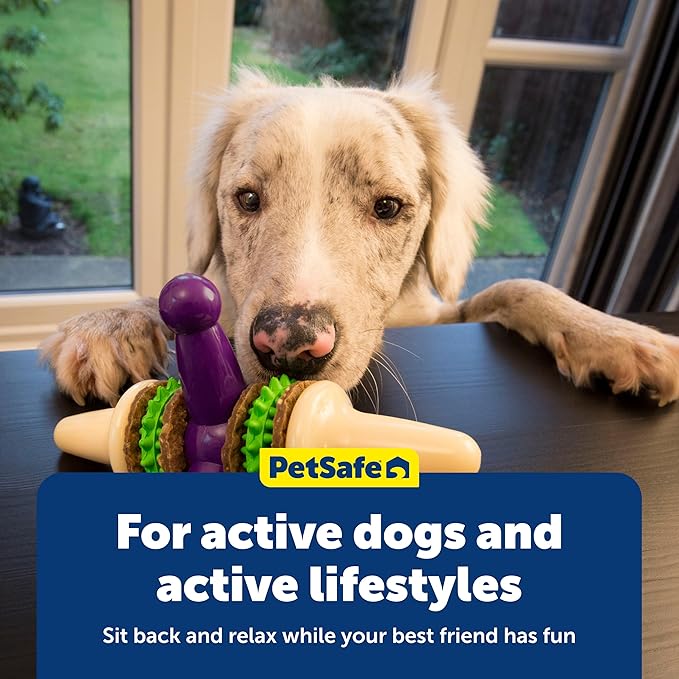 PetSafe Busy Buddy Jack - Treat Holding Dog Chew Toys - Helps Clean Teeth - Vanilla Scented Rubber for Strong Chewers - Treat Refills Included - Interactive Dog Toy Keeps Dogs Busy - Purple, Medium | Vanilla Scented Textured Rubber for Strong Chewers, ...