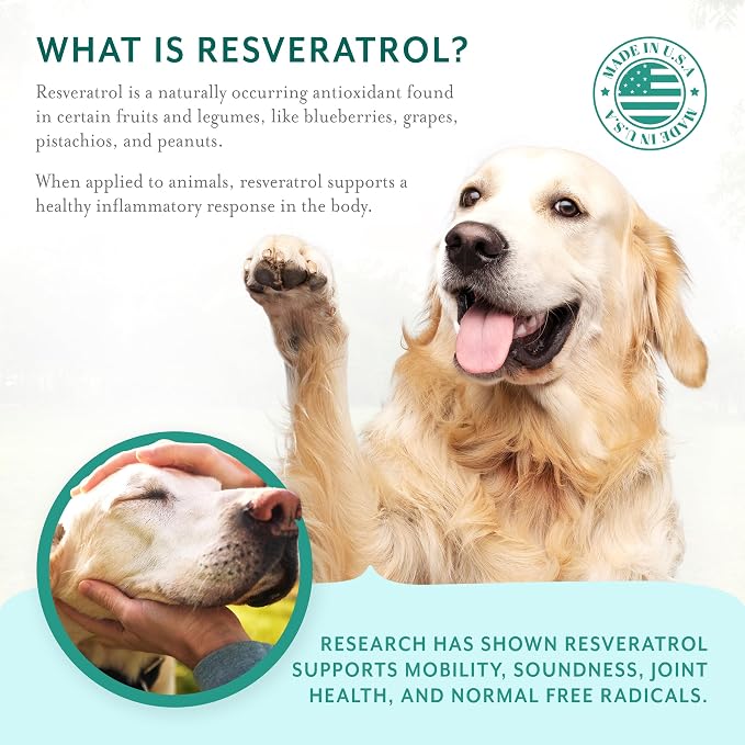 Resveratrol Chews Dog Supplement Bacon Flavor, Large Breed