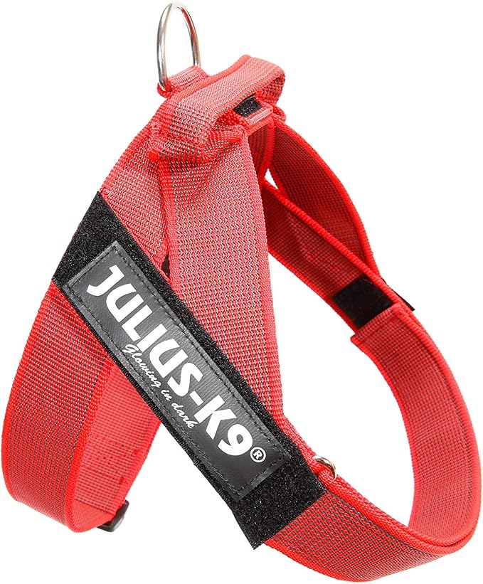IDC Color & Gray Belt Harness, Size: M/0, Red-Gray
