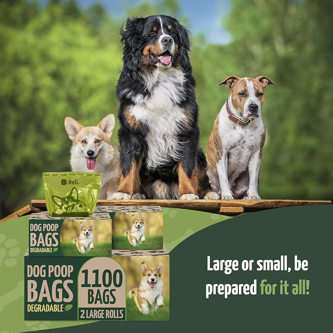Reli. Biodegradable Dog Poop Bags (1100 Pack, 2 Large Rolls) | 9"x13" Large Poop Bags for Dogs | Unscented, Leak Proof Oxobiodegradable Pet Waste Clean Up | Green Eco-Friendly | Dispenser Box