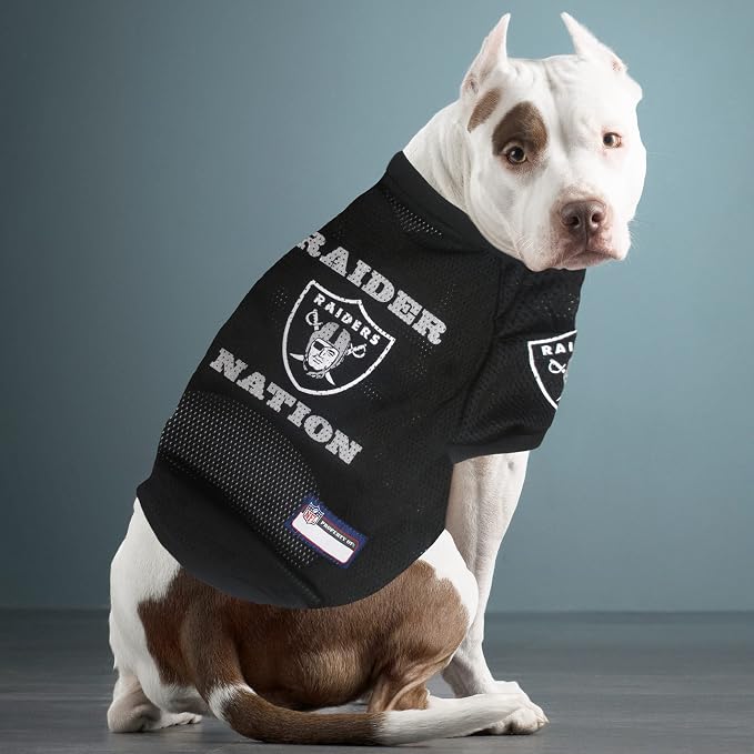 Pets First NFL DOG BANDANA, Large/X-Large, Large