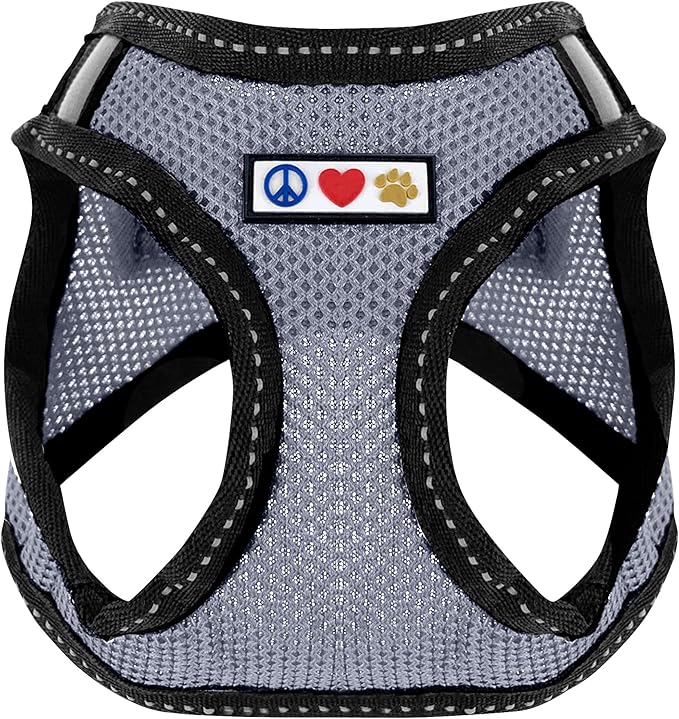 Pawtitas Dog Vest Harness Made with Breathable Air Mesh | All Weather Vest Harness for Extra Small Puppies and Large Cats with Quick-Release Buckle - Extra Small Grey Mesh Dog Harness
