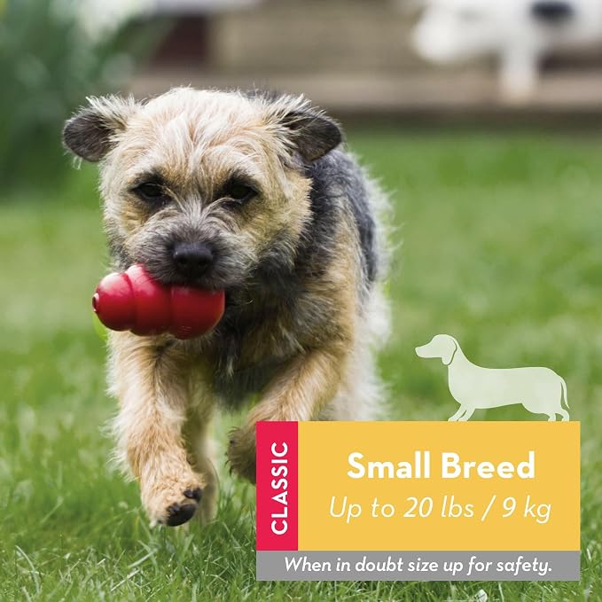 KONG Classic Toy and Enhanced Ziggies Treats Combo, for Small Dogs | Durable Stuffable Classic Toy Paired with Enhanced Ziggies Treats for Fun, Enrichment & Dental Health