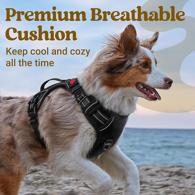 rabbitgoo Large Dog Harness, Easy Wear with 3 Buckles and Lift Handle | No Pull with Front Clip for Walking, Adjustable Soft Padded, Reflective, Easy Control, Black, X-Large