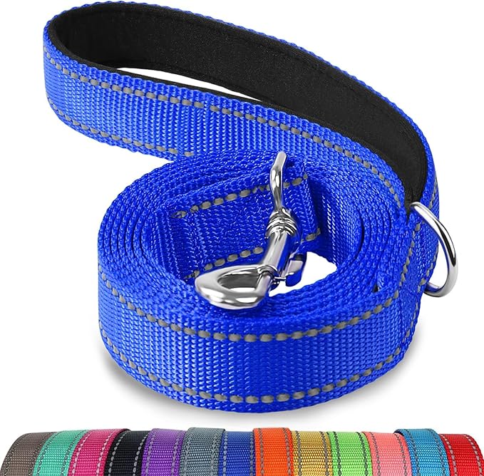 Joytale Reflective Dog Leash for Medium & Large Dogs, 6 FT x 1", Navy Blue | Heavy Duty Nylon Webbing, Padded Handle for Comfort, Visible at Night, for Walking & Training