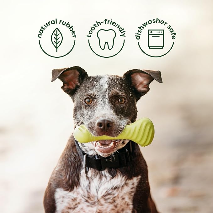 Benebone Bacon Wishbone/Rubber Bone Medium, 2-Pack | Dog Bones, Long-Lasting, Boredom Buster, Natural Rubber