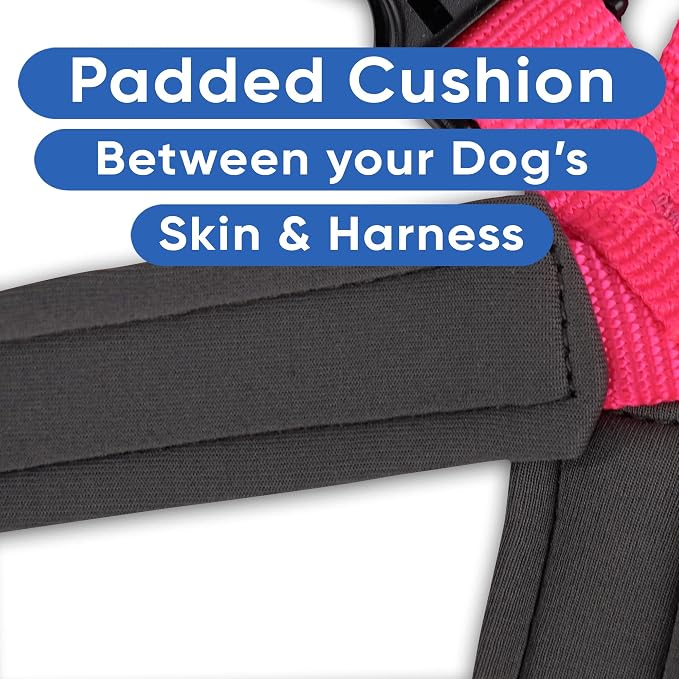 Pawtitas Reflective Padded Dog Harness for Medium Dogs – Adjustable Step-in Vest | Fits Chest 22–28 in | No Pull Training Harness | M | Pink