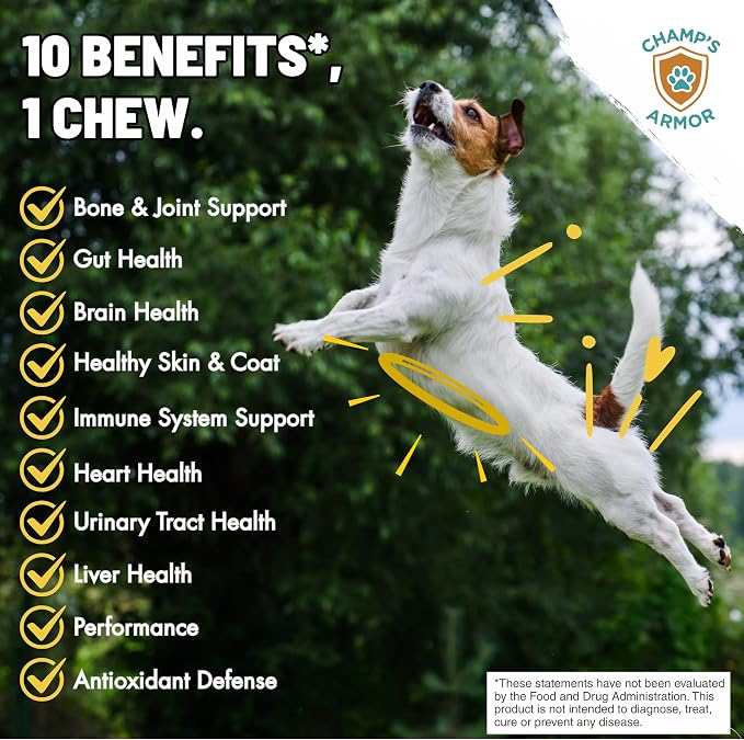 Dog Multivitamin 10-in-1 with Glucosamine - Hip Joint Support, Skin & Coat, Digestive Health, Immune Boost - Salmon Oil, Probiotics, MSM - All Natural Daily Chews for Dogs All Breeds - 120 Count