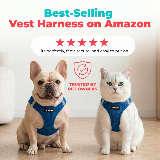 Voyager Step-in Air Dog Vest Harness - Royal Blue, Large | 18- 20.5" in Chest, Reflective Bands, All Weather Breathable Air Mesh, Cats Compatible, Lightweight, Fast Drying