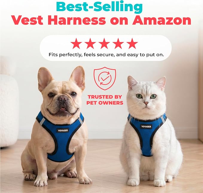 Voyager Step-in Air Dog Vest Harness - Royal Blue/Black Trim, Large | 18- 20.5" in Chest, Reflective Bands, All Weather Breathable Air Mesh, Cats Compatible, Lightweight, Fast Drying