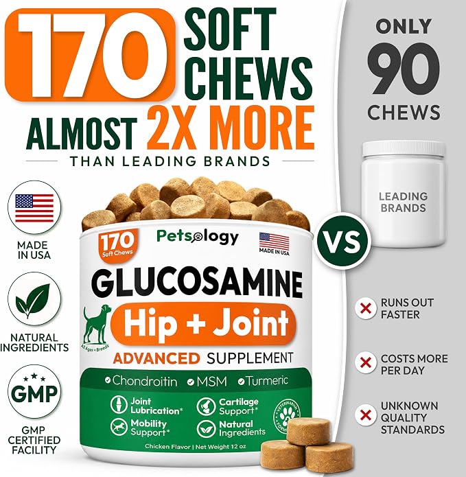 Glucosamine for Dogs, 170 Chews, Hip and Joint Supplement for Dogs | Glucosamine Chondroitin for Mobility - MSM & Turmeric - Joint Pain Relief - Advanced Joint Support for Dogs - Made in USA
