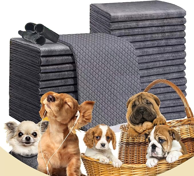 Extra Large Dog Pee Pads, 23"x35", Super Absorbent & Leak-Proof Disposable Puppy Pads for Indoor and Outdoor Use ( 20 Count )