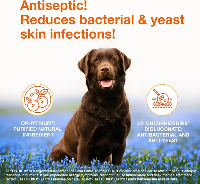 Douxo S3 PYO Medicated Dog Shampoo with 3% Chlorhexidine for Dogs – Antibacterial & Antiseptic Yeast Infection Treatment For Dogs & Cats, Clinically Proven, 6.7 fl oz | Antibacterial & Antiseptic Yeast Infection Treatment For Dogs & Cats, Clinically Pr...