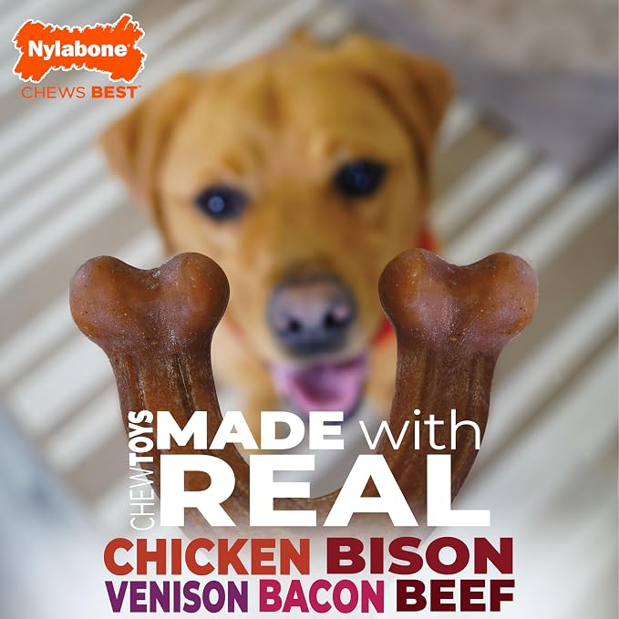 Nylabone Strong Chew Dog Toy 4-Pack, Durable Chew Toys, Small Dogs | Dog toys for aggressive chewers, made with real bacon, bison, venison, beef and chicken, for small breed dogs up to 25 lbs