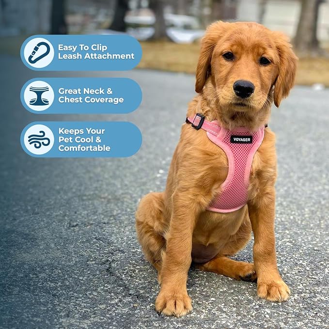 Voyager Step-in Flex Adjustable Dog Harness - Pink, X-Large | 23 - 28" in Chest, Fully Adjustable, Reflective Bands, All Weather Breathable Air Mesh, Lightweight, Fast Drying