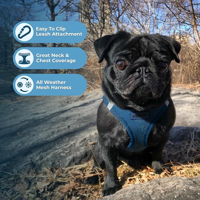 Voyager Step-in Air Dog Vest Harness - Blue, Small | 14.5-16" in Chest, Reflective Bands, All Weather Breathable Air Mesh, Cats Compatible, Lightweight, Fast Drying