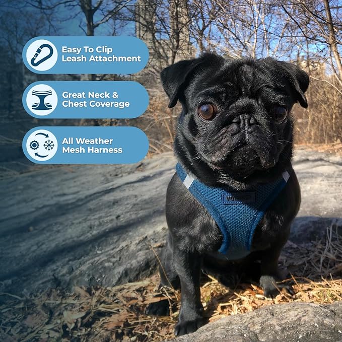 Voyager Step-in Air Dog Vest Harness - Blue, Large | 18- 20.5" in Chest, Reflective Bands, All Weather Breathable Air Mesh, Cats Compatible, Lightweight, Fast Drying