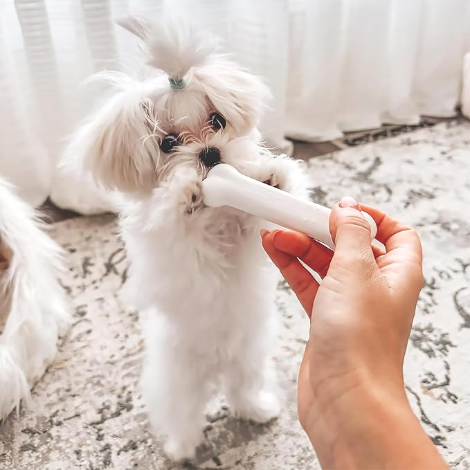 Nylabone New Puppy Starter Kit, Puppy Teething Toys, 3 Pack, Blue | Teething toys for puppies, natural chew treat & toy set for small dogs up to 25 lbs, long lasting chicken & bacon flavor