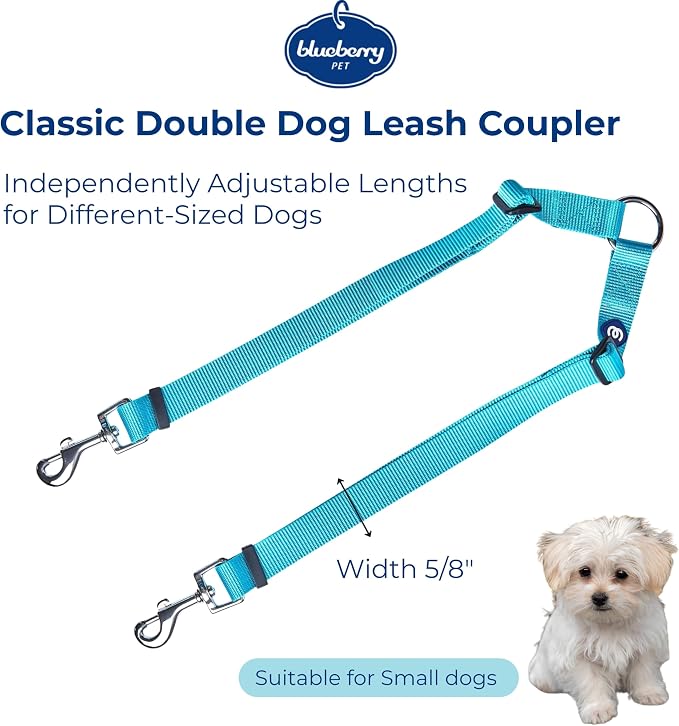 Blueberry Pet Essentials Durable Classic Double Dog Leash Coupler, Turquoise, Small, Dual Walking & Training Leashes for Two Dogs