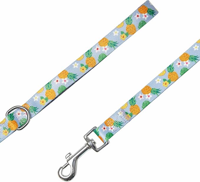 Blueberry Pet Nutritious Pineapple Dog Leash, 5 ft x 3/4", Medium, Leashes for Dogs